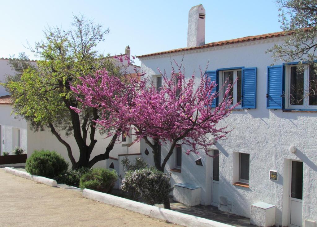 Carpe Diem Cadaques Phòng bức ảnh